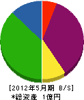 永島組 貸借対照表 2012年5月期