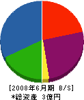 飯田産業 貸借対照表 2008年6月期