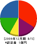 小田倉工務店 貸借対照表 2009年12月期