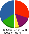 丸善ワタナベ 貸借対照表 2009年12月期