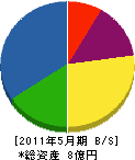亀山電機 貸借対照表 2011年5月期