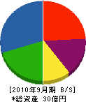 相村建設 貸借対照表 2010年9月期