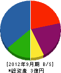 柴田建設 貸借対照表 2012年9月期