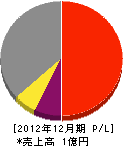 長谷川電気土木 損益計算書 2012年12月期