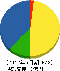 金田産業 貸借対照表 2012年5月期