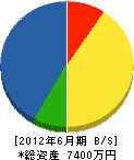 小松電工社 貸借対照表 2012年6月期