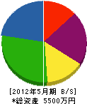 鮫島建設 貸借対照表 2012年5月期