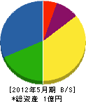 須藤建設 貸借対照表 2012年5月期