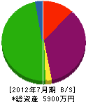 串田管工設備 貸借対照表 2012年7月期