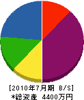 彦坂工業 貸借対照表 2010年7月期