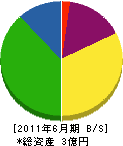 鑓田木材 貸借対照表 2011年6月期