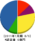村松電機 貸借対照表 2011年1月期