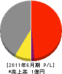 岩田塗装店 損益計算書 2011年6月期