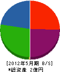 丸初田中興業 貸借対照表 2012年5月期