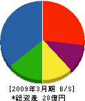 武井電機工業 貸借対照表 2009年3月期