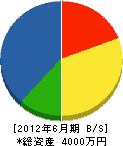 前田鉄工所 貸借対照表 2012年6月期