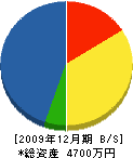 岩田建設 貸借対照表 2009年12月期