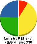 橋本電気商会 貸借対照表 2011年9月期