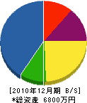 枝幸重機 貸借対照表 2010年12月期
