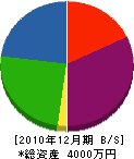 園山美建 貸借対照表 2010年12月期