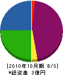 武隈鉄工 貸借対照表 2010年10月期