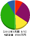 笠松建設 貸借対照表 2012年3月期
