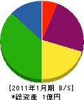 ＊田グリーンサービス 貸借対照表 2011年1月期