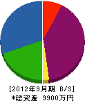 長弘硝子 貸借対照表 2012年9月期
