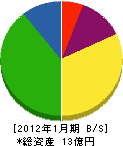 東晴 貸借対照表 2012年1月期