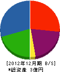 アグリパートナー宮崎 貸借対照表 2012年12月期