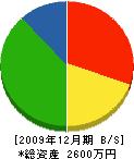 渋川園芸市場 貸借対照表 2009年12月期