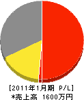 澤谷電工 損益計算書 2011年1月期