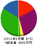 豊島塗装 貸借対照表 2012年6月期