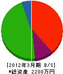 三栄企業 貸借対照表 2012年3月期