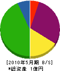 岩田組 貸借対照表 2010年5月期