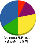 渡辺組 貸借対照表 2010年4月期