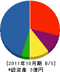 大和田設備工業 貸借対照表 2011年10月期