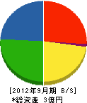九州電工 貸借対照表 2012年9月期