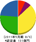エイト日本技術開発 貸借対照表 2011年5月期