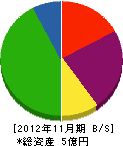 橋本電設 貸借対照表 2012年11月期