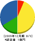 大川建設 貸借対照表 2009年12月期