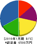 池田商店 貸借対照表 2010年1月期