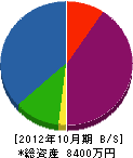 近江スポーツ 貸借対照表 2012年10月期