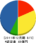 沢木組 貸借対照表 2011年12月期