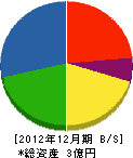 田野上組 貸借対照表 2012年12月期