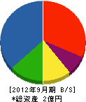 千葉正工務店 貸借対照表 2012年9月期