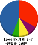 川島建設 貸借対照表 2009年6月期