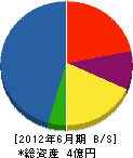 フリクト日本 貸借対照表 2012年6月期