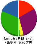 松本電設 貸借対照表 2010年6月期