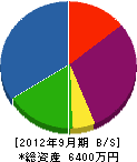 内田電気商会 貸借対照表 2012年9月期